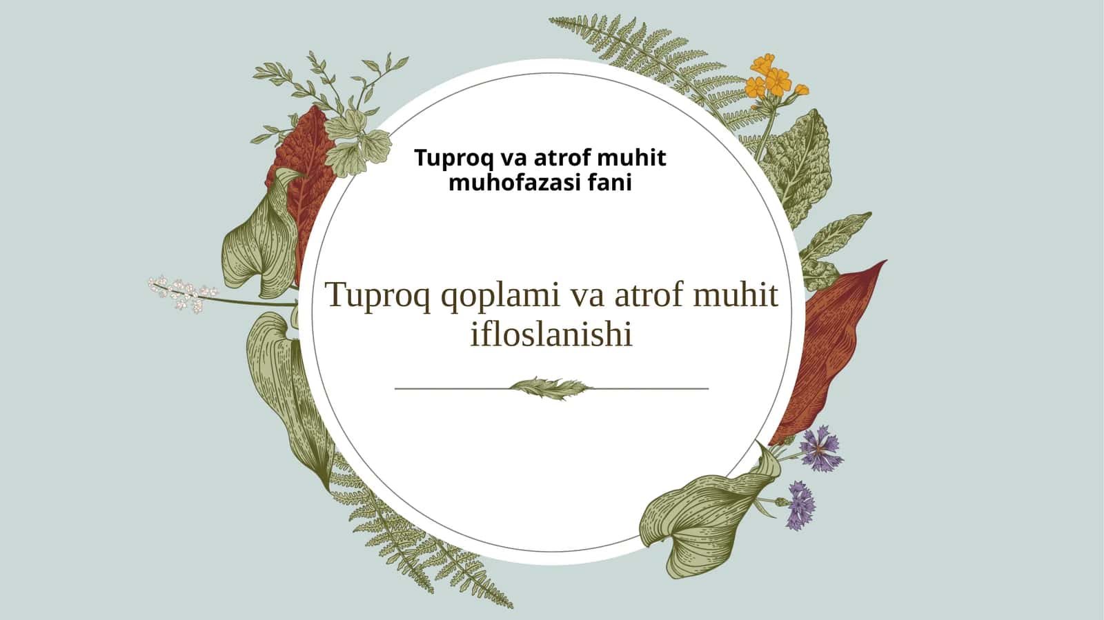 Tuproqqoplamivaatrofmuhitifloslanishi 1