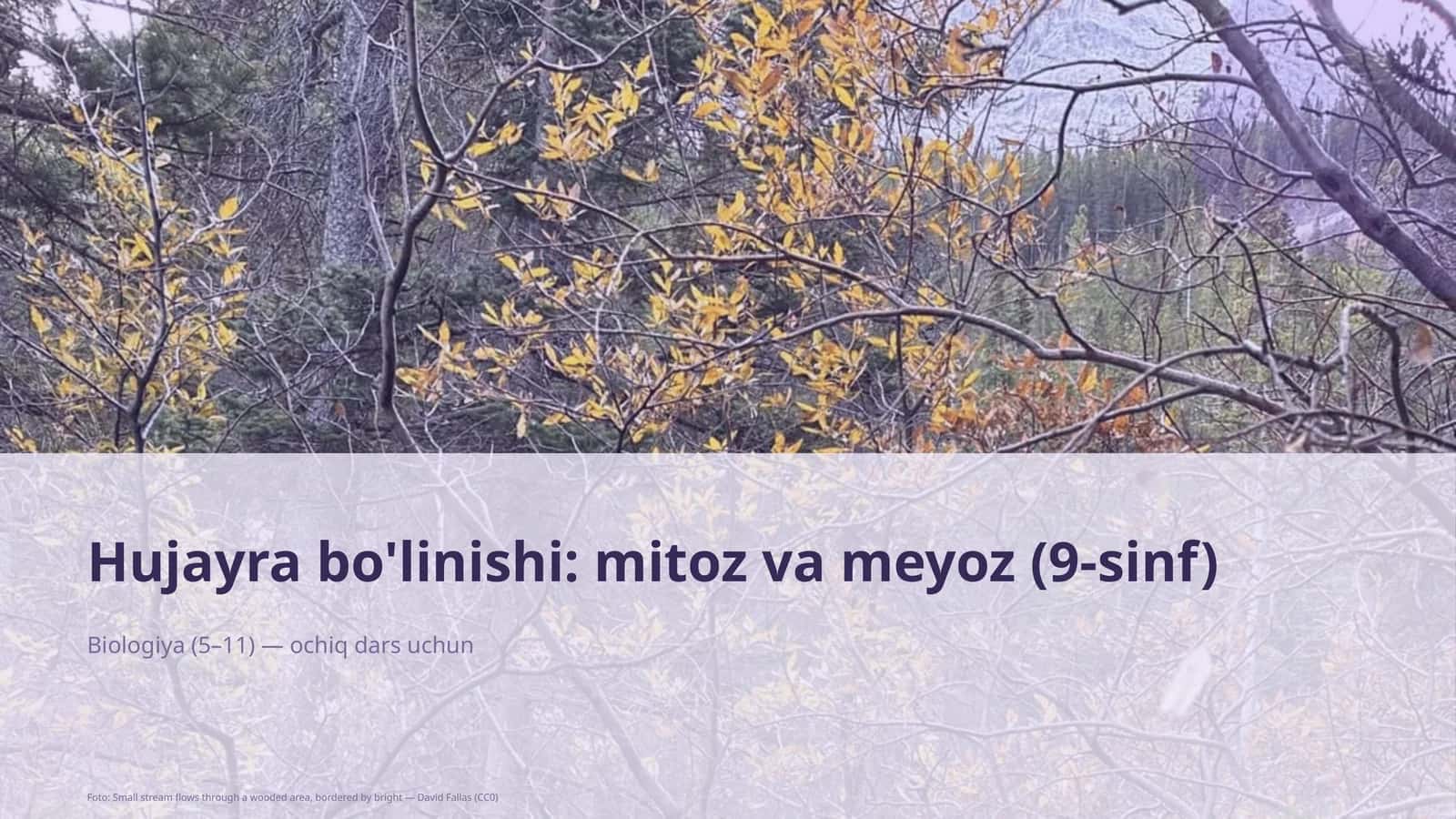 Hujayra bo'linishi: mitoz va meyoz (9-sinf) 1