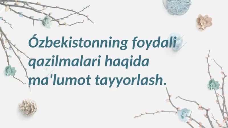 Oʻzbekistonning foydali qazilmalari haqida maʼlumot 1