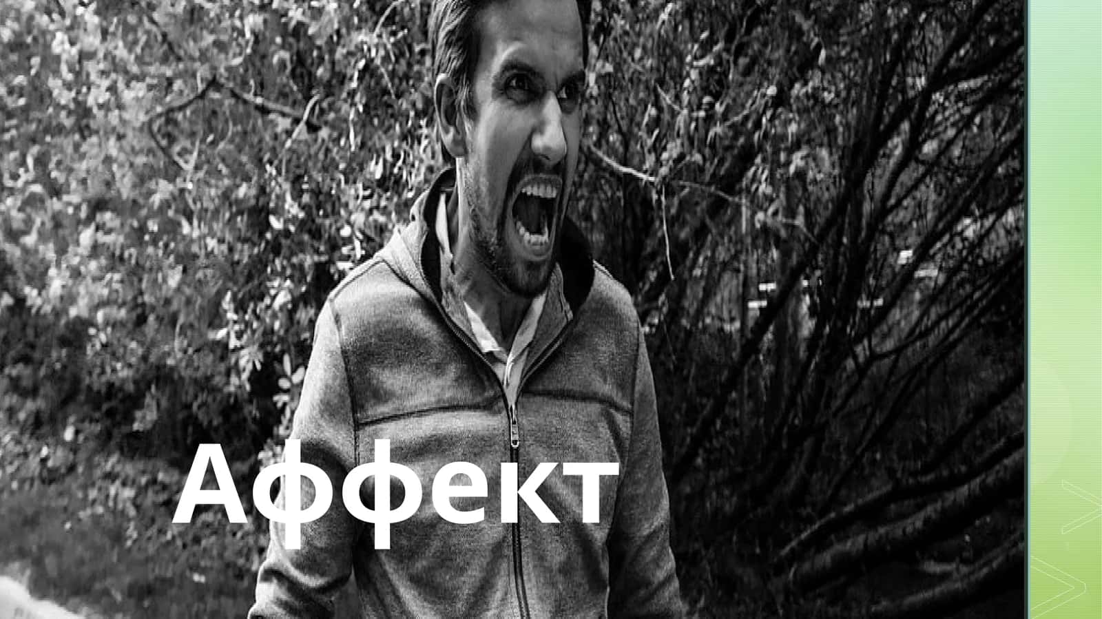 Аффект 1