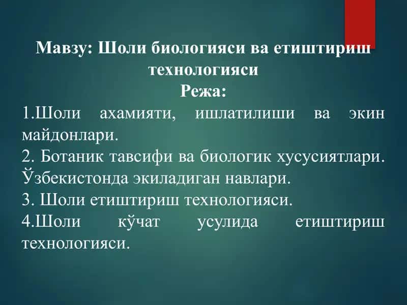 Шоли биологияси ва етиштириш технологияси 1