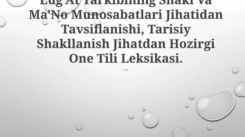 Lug'At Tarkibining Shakl Va Ma'No Munosabatlari Jihatidan Tavsiflanishi 1
