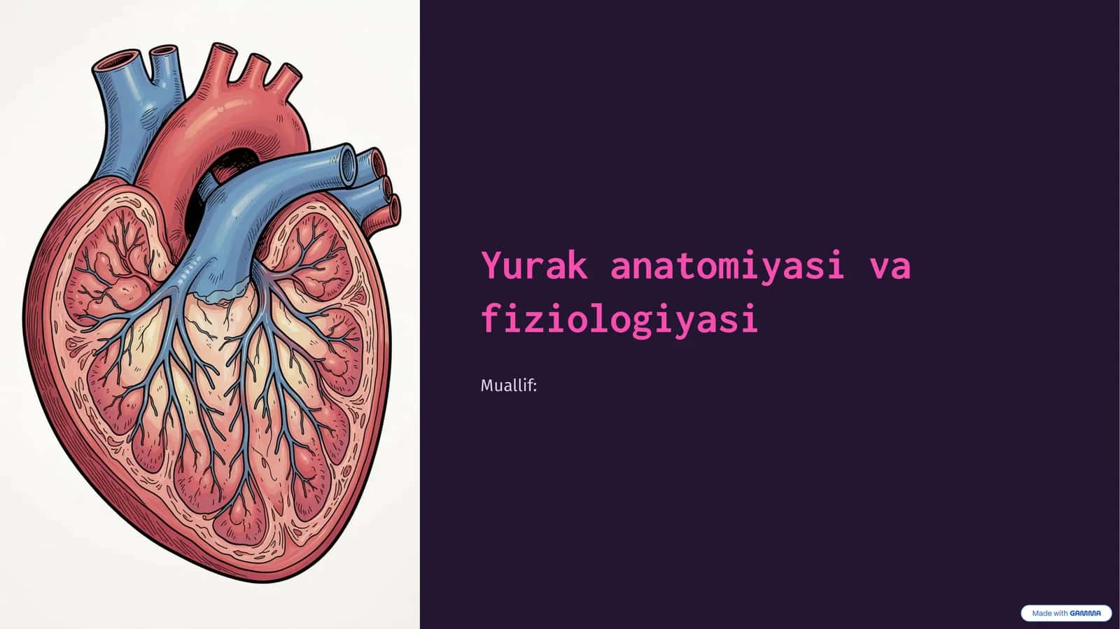Yurak anatomiyasi va fiziologiyasi 1