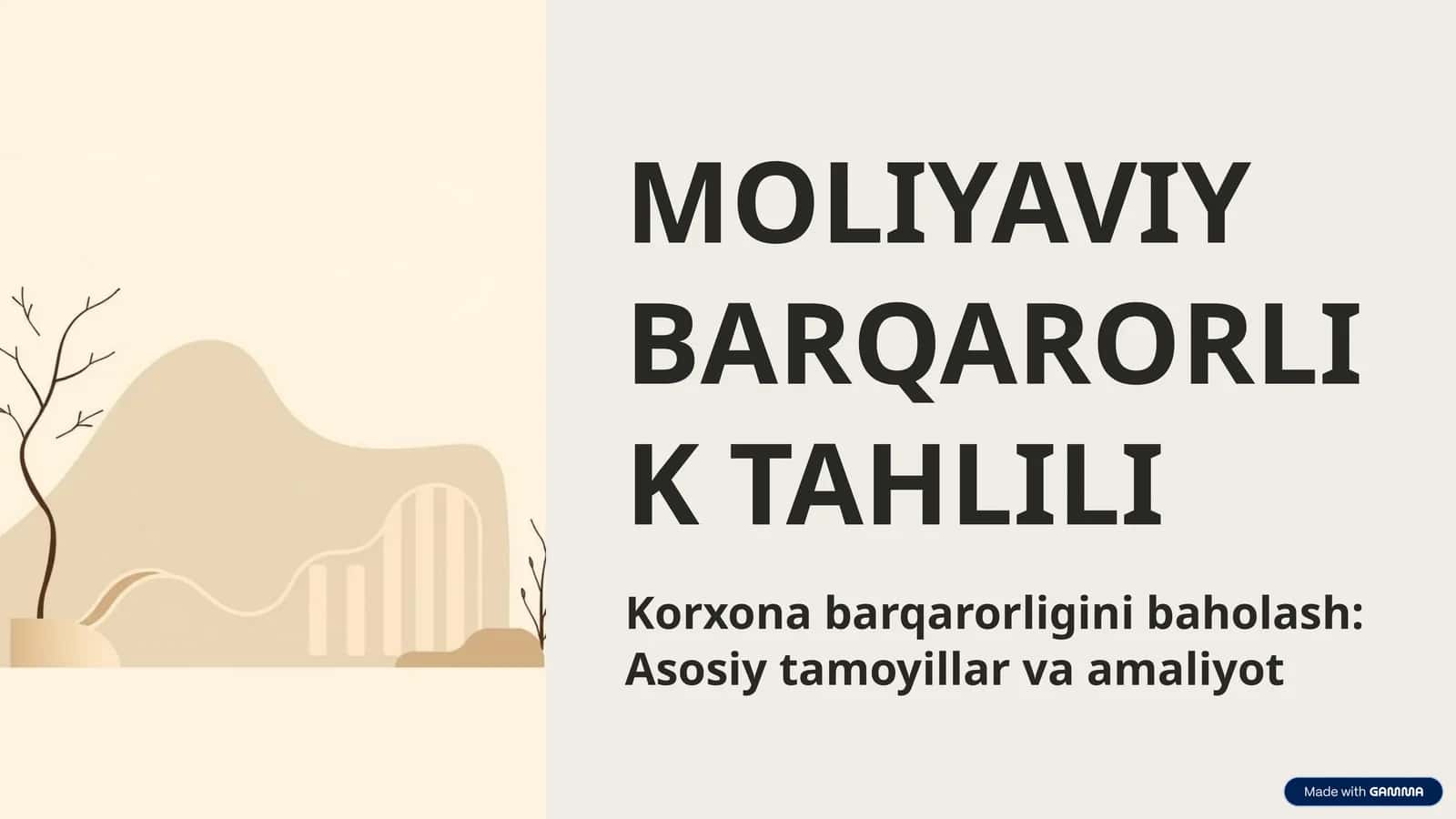 MOLIYAVIY BARQARORLIK TAHLILI 1