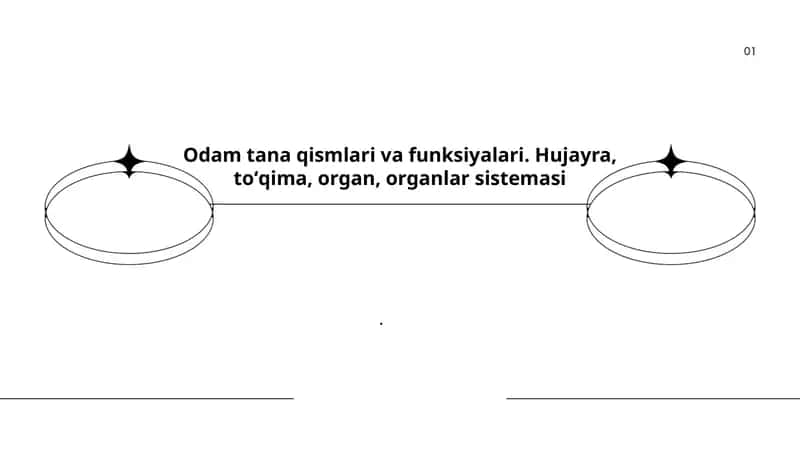 Odam tana qismlari va funksiyalari 1