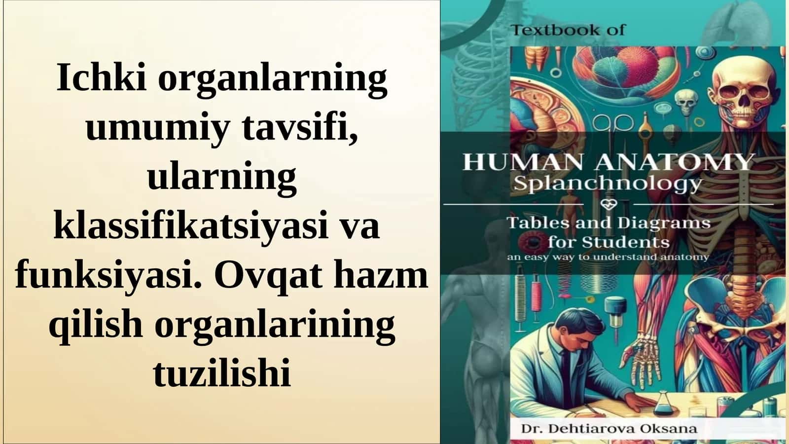 Ichki A'zolar Haqida Ta'limot 1