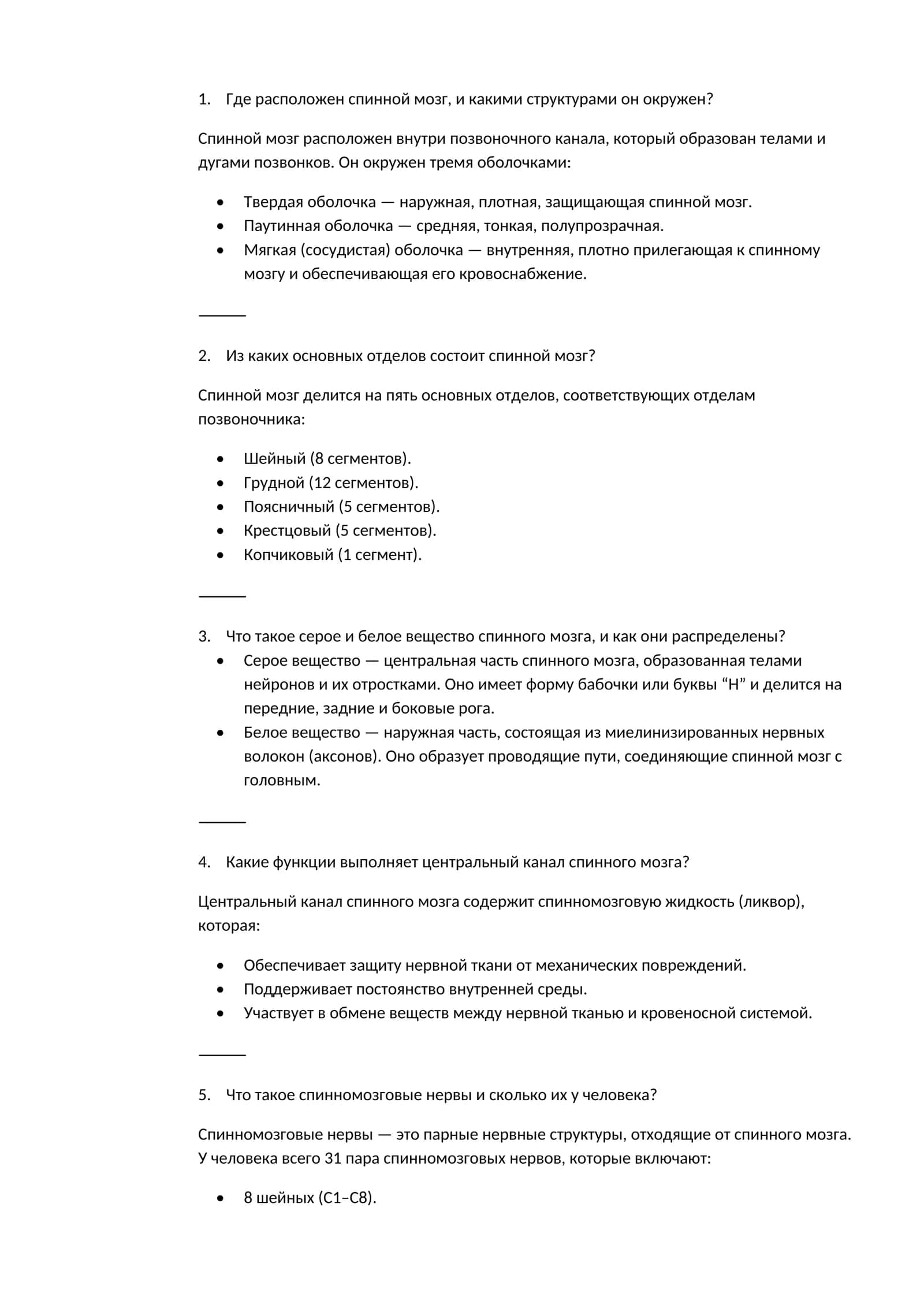 Спинной мозг 1