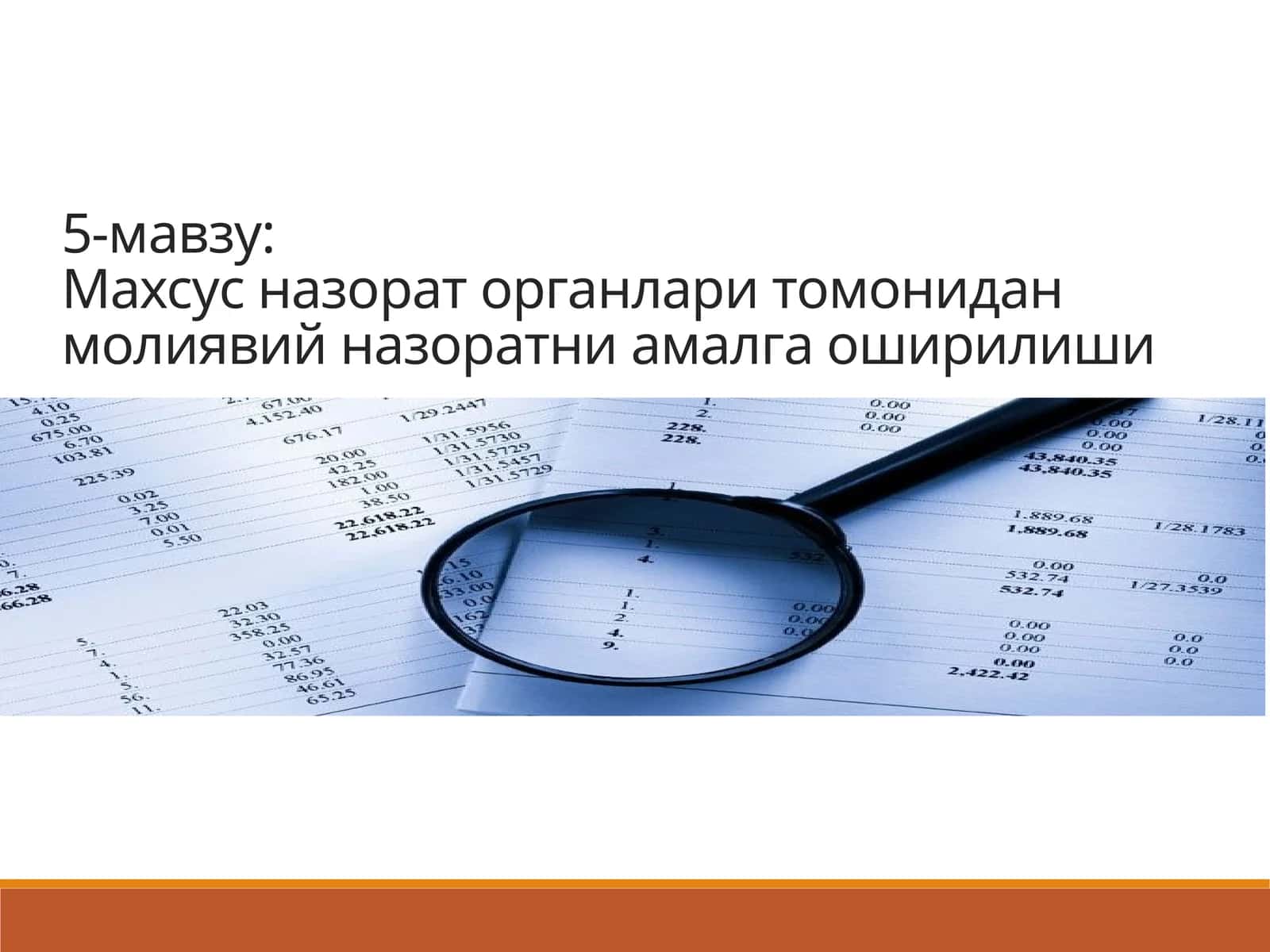 Махсус назорат органлари томонидан молиявий назоратни амалга оширилиши 1