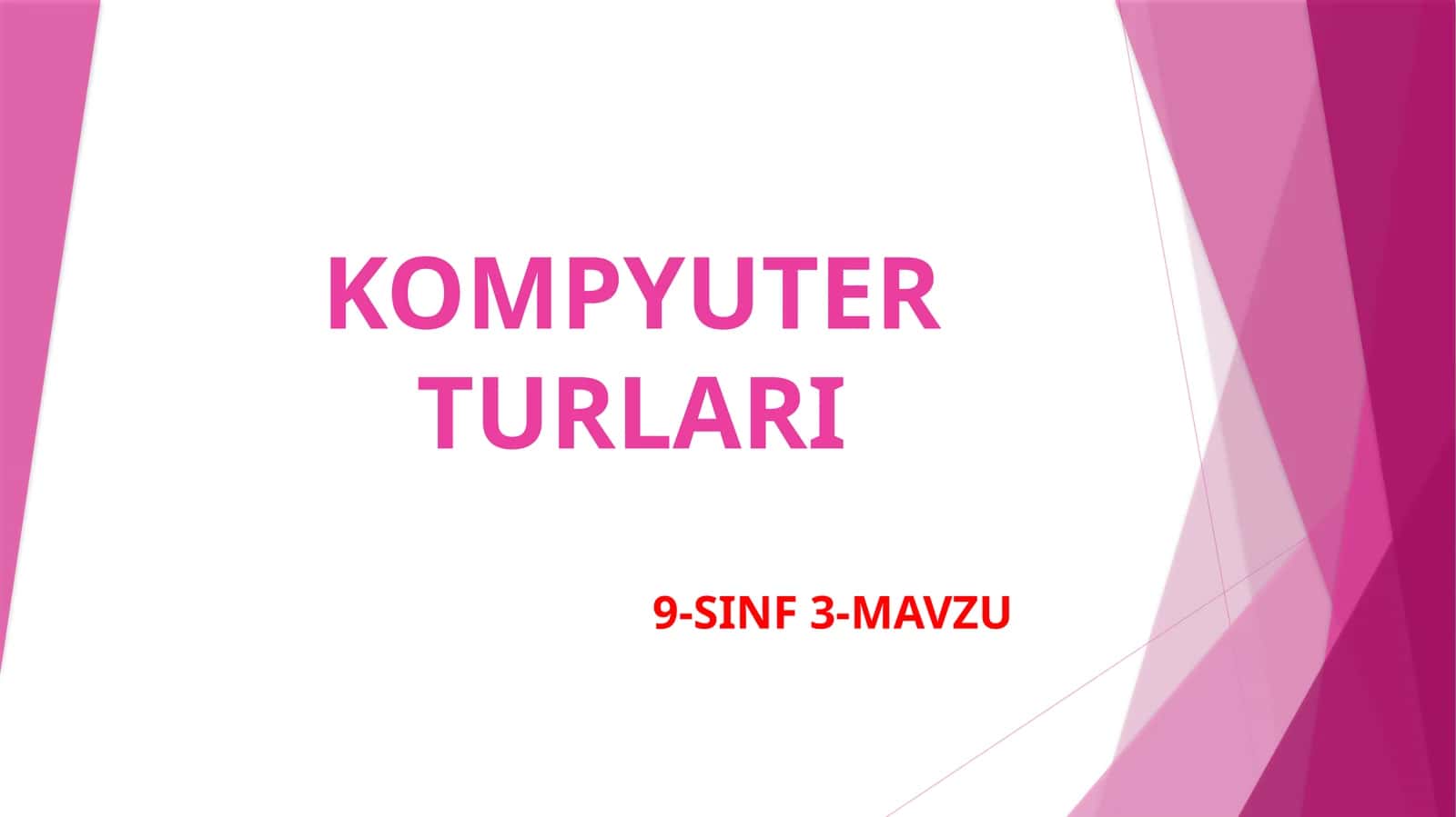 KOMPYUTER TURLARI 1