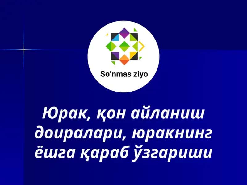 Юрак, қон айланиш доиралари, юракнинг ёшга қараб ўзгариши 1