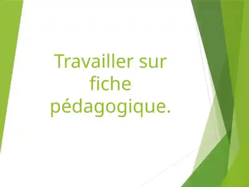Fiche pédagogique 1