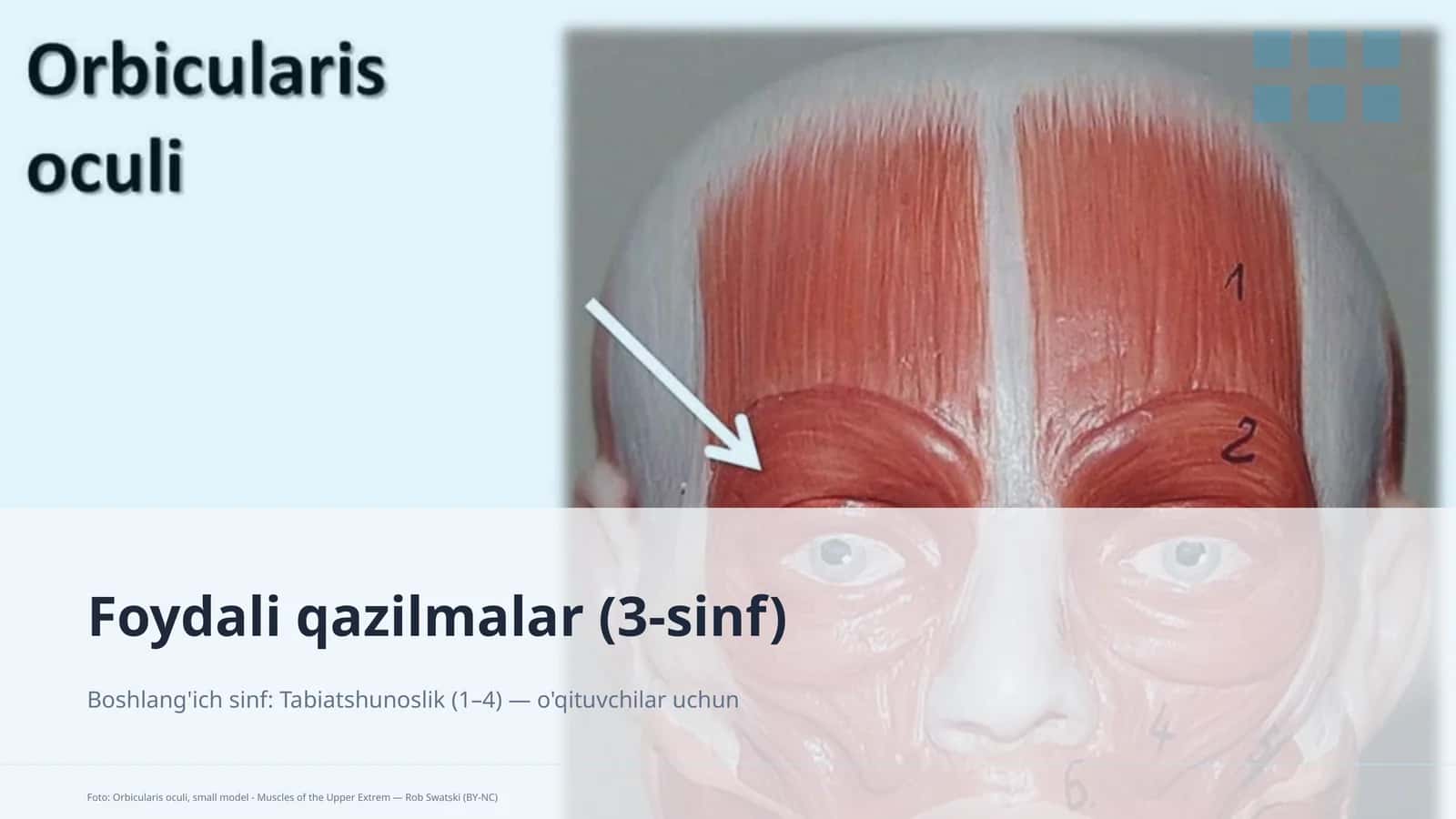 Foydali qazilmalar (3-sinf) 1