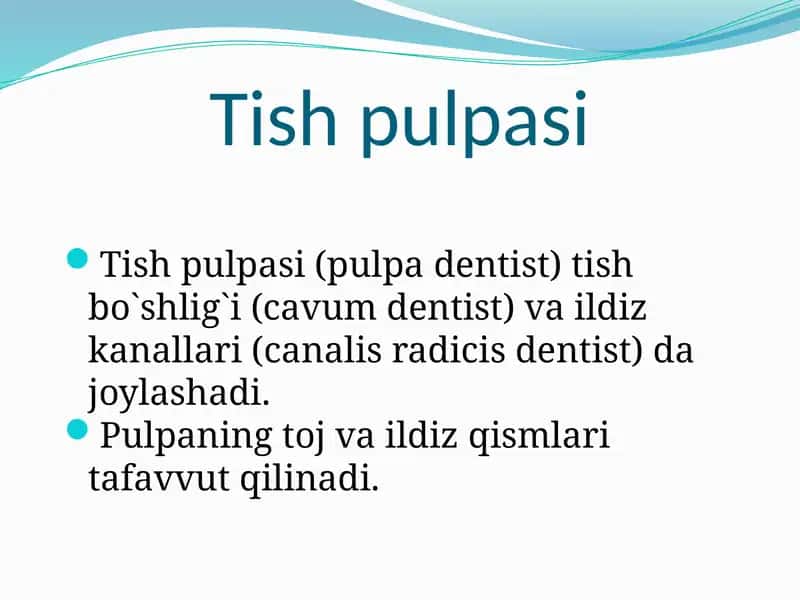 Tish pulpasi 1