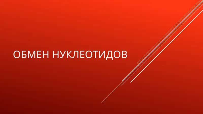 Обмен нуклеотидов 1