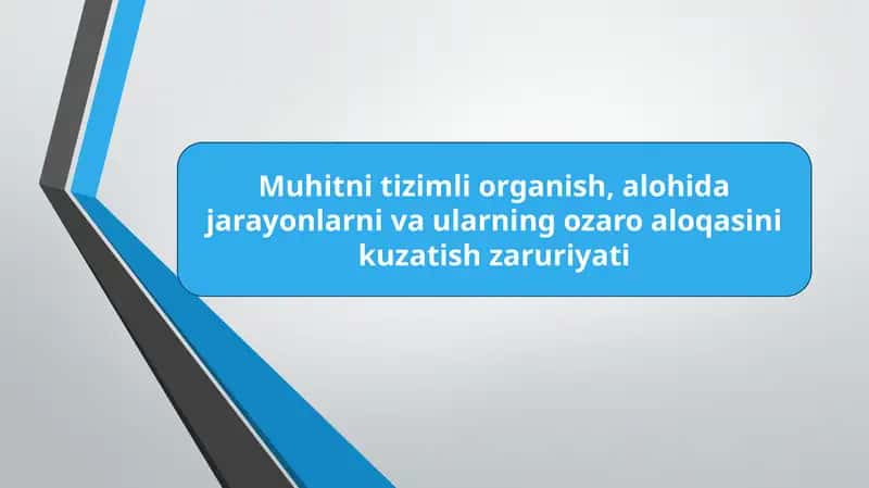 Muhitin tizimlanishi: Organizatsiyalash va strukturani ta'kidlash. 1