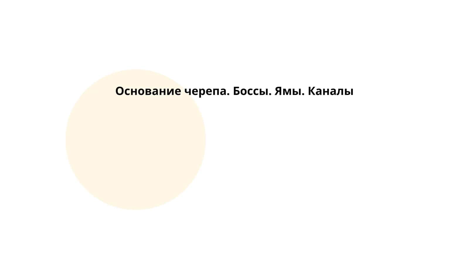 Основание черепа 1