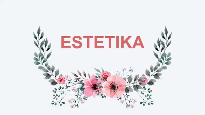 Estetika 1