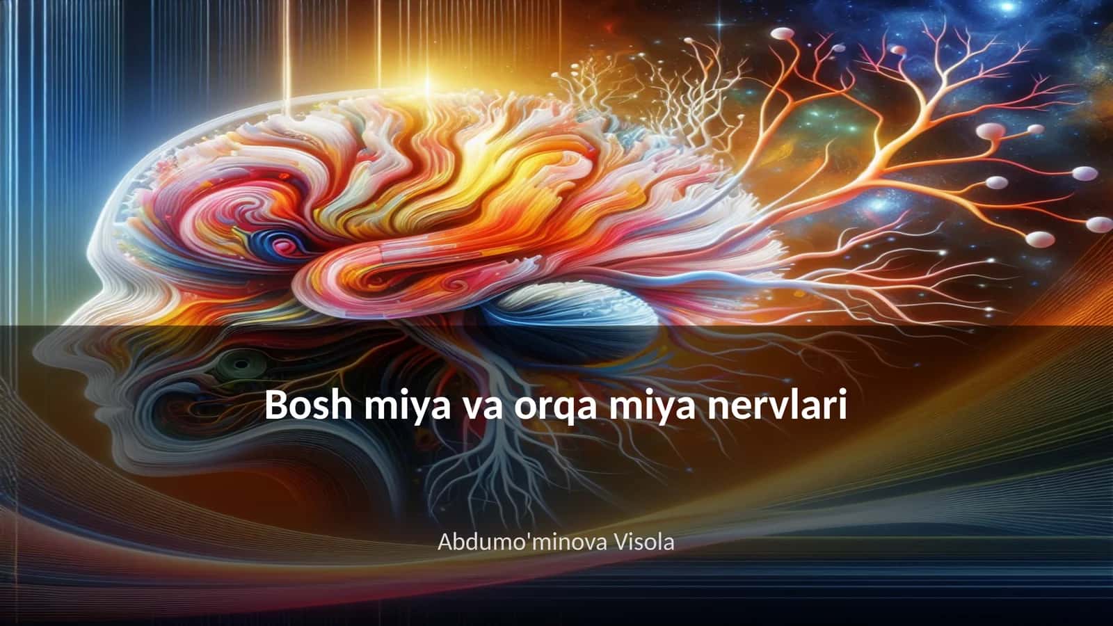 Bosh miya va orqa miya nervlari 1