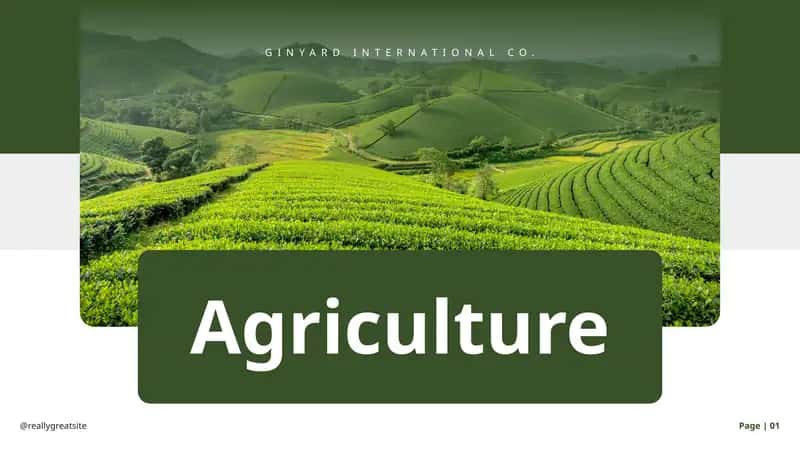 Agriculture 1