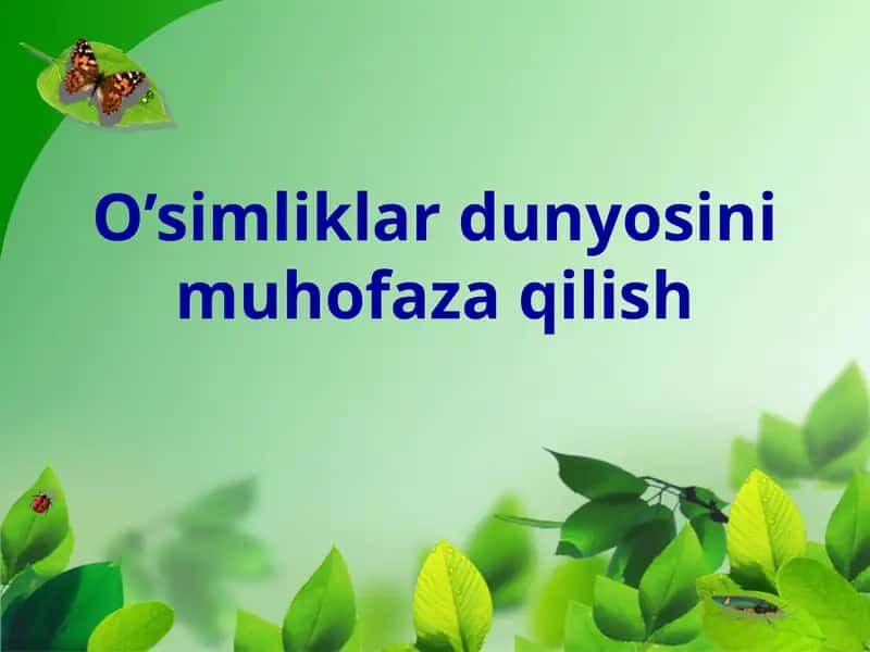 O’simliklar dunyosini muhofaza qilish 1
