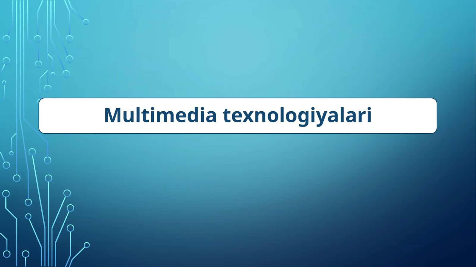 Multimedia 1