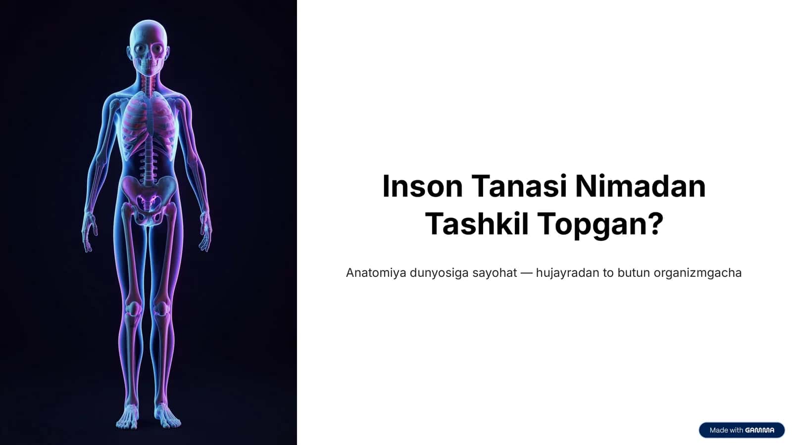 Odam Anatomiyasi 1