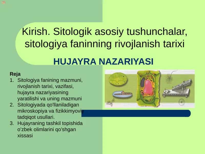 Hujayra Nazariyasi 1