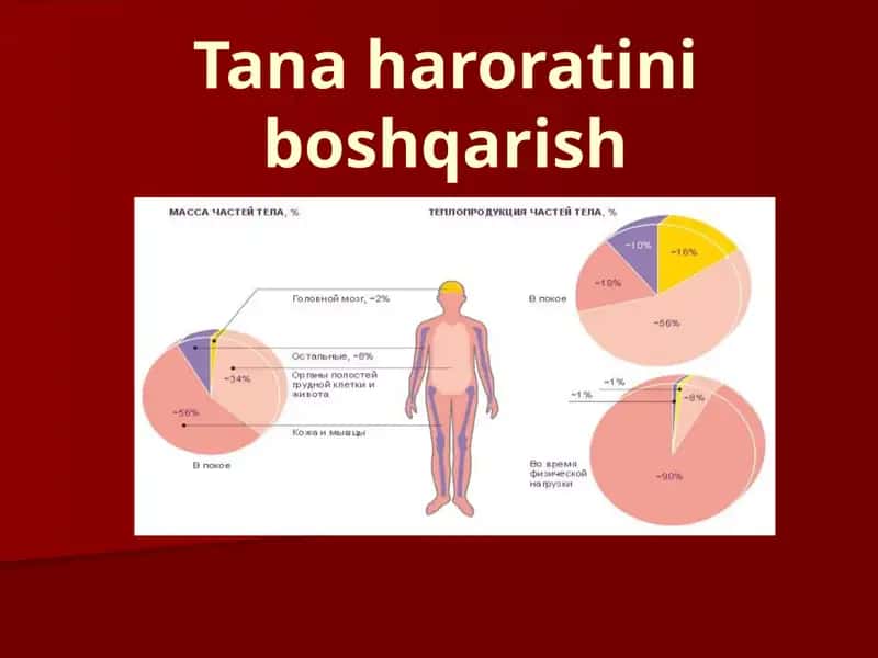 Tanaharoratiniboshqarish 1
