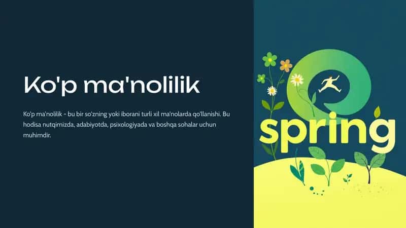 Ko'p ma'nolilik 1