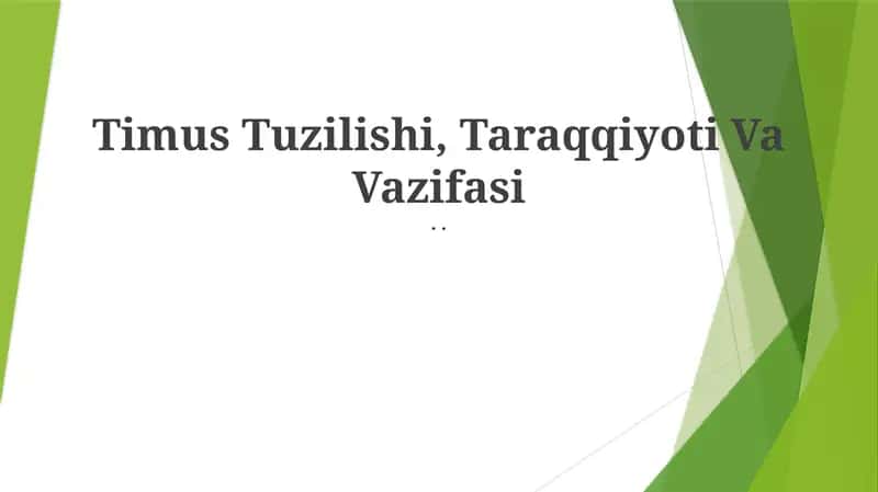 Timus Tuzilishi, Taraqqiyoti Va Vazifasi 1