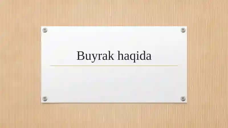 Buyrak haqida 1