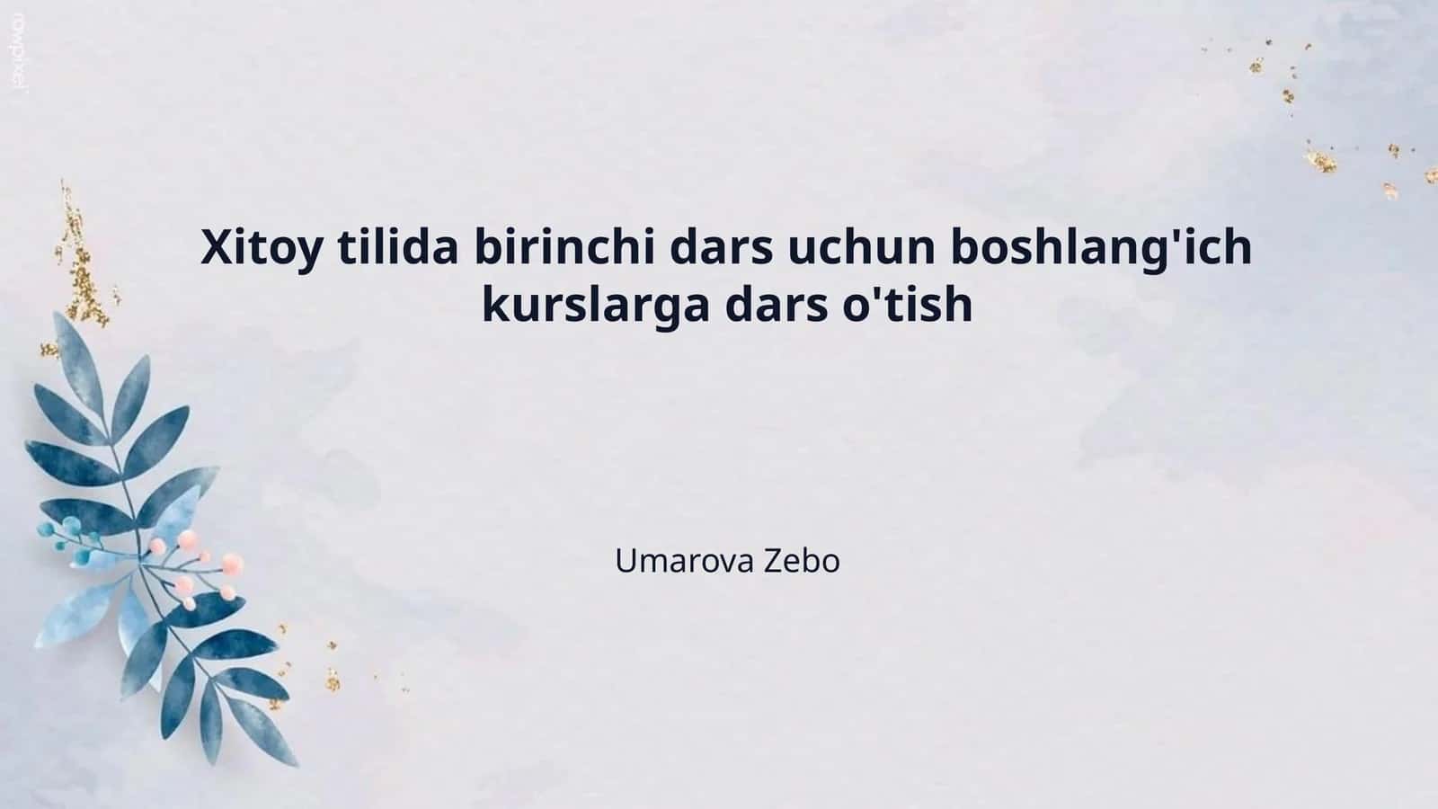 Xitoy tilida birinchi dars uchun boshlang'ich kurslarga dars o'tish 1