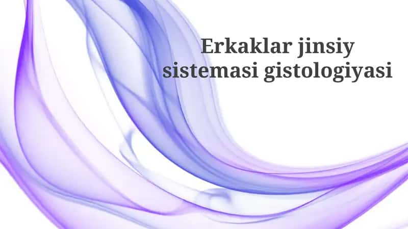 Erkaklar jinsiya sistemasining gistologiyasi 1