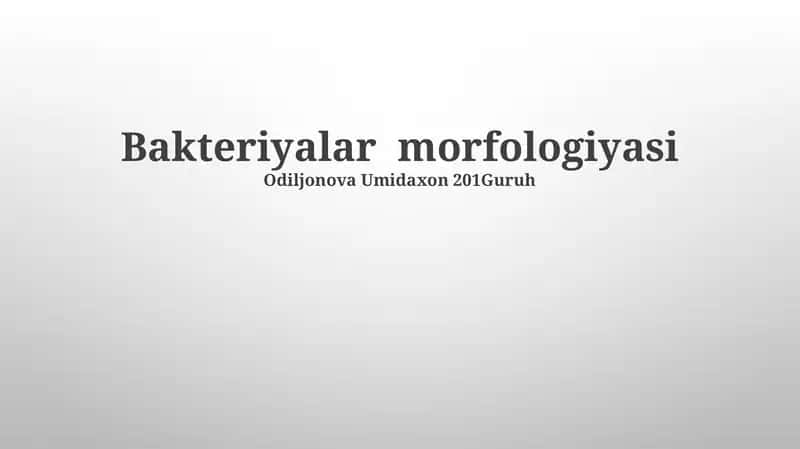 Bakteriyalar morfologiyasi 1