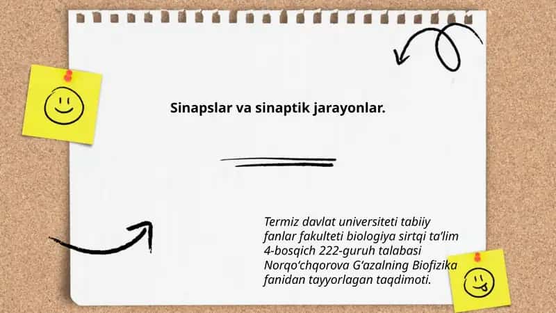 Sinapslar va sinaptik jarayonlar 1