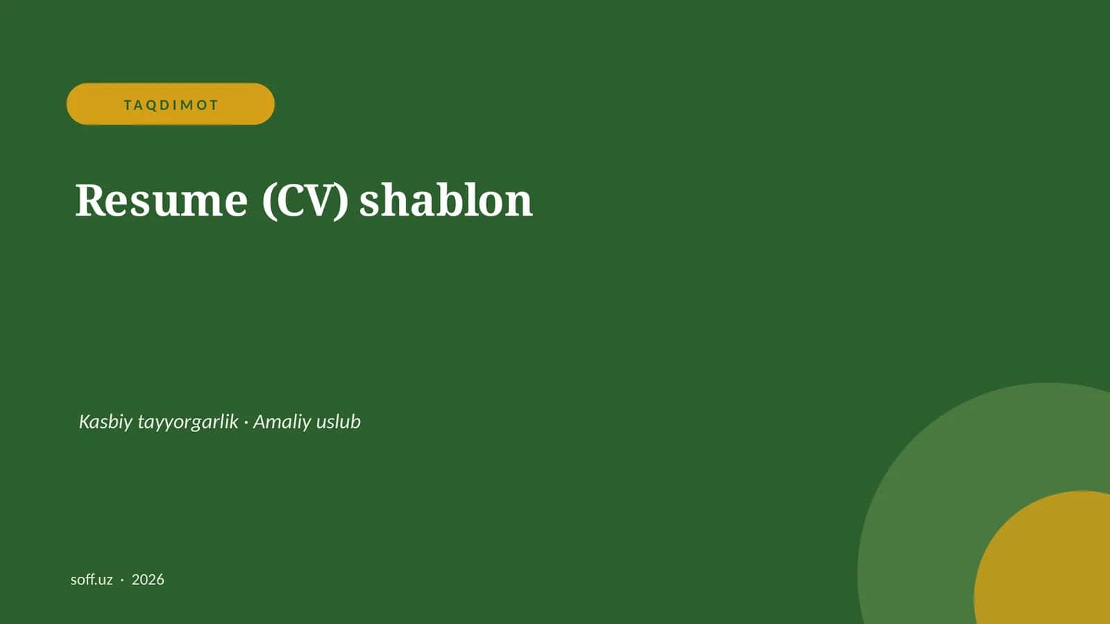 Resume (CV) shablon 1