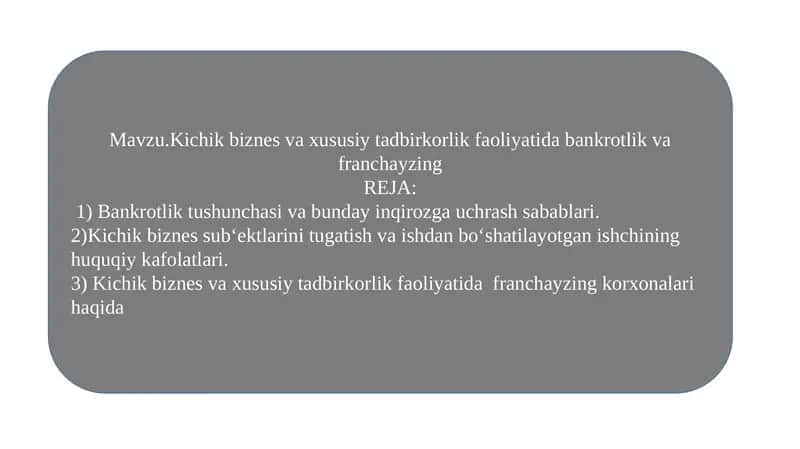 Kichik biznes va xususiy tadbirkorlik faoliyati dasturi 1