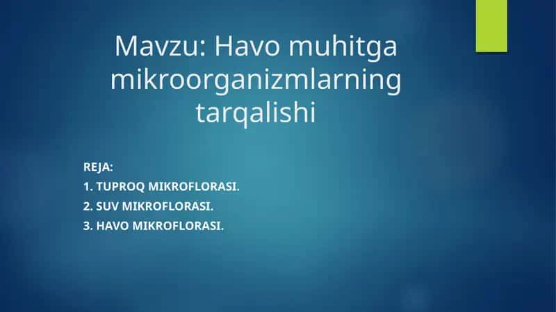 Tuproq mikroflorasi 1