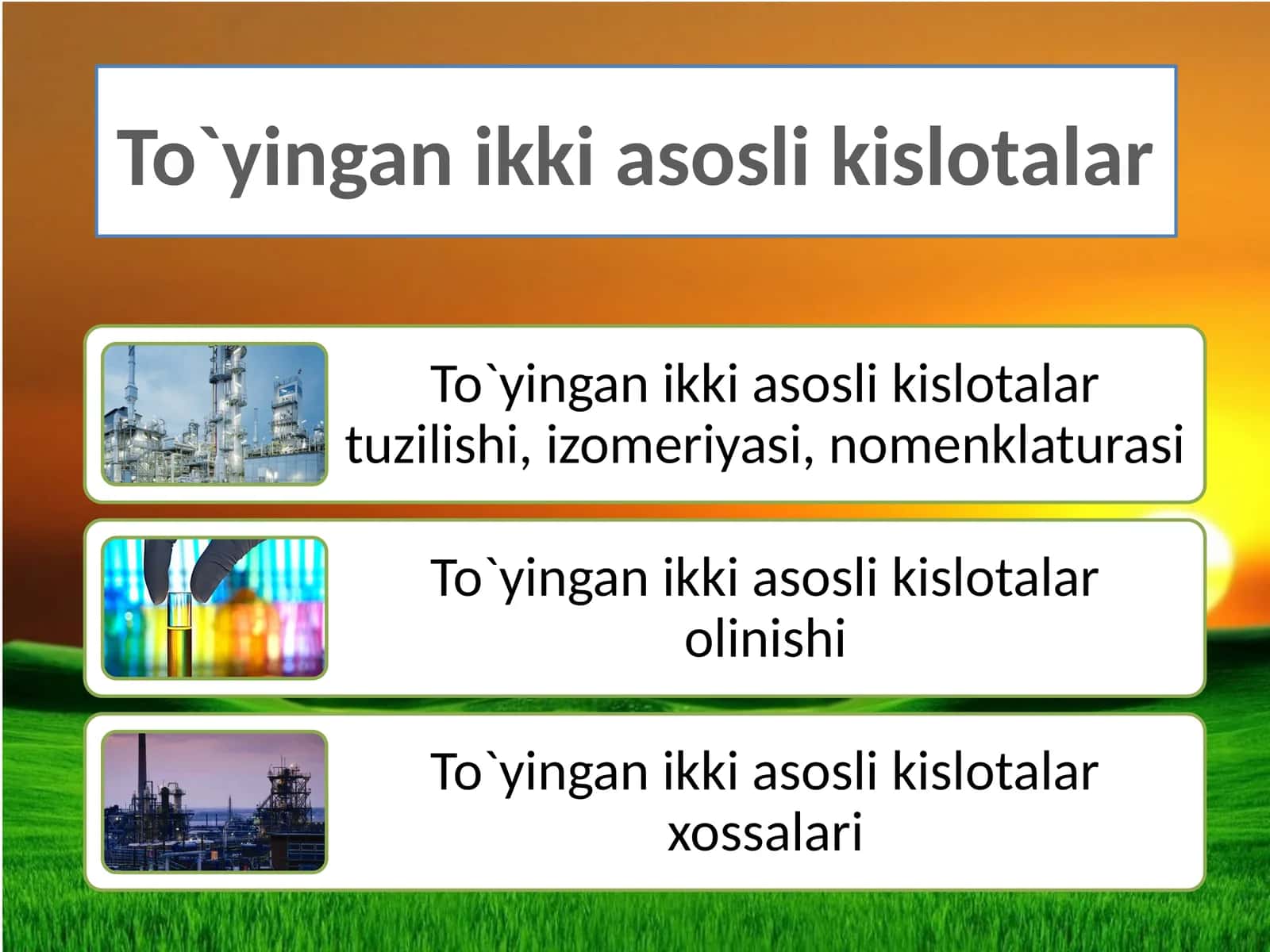 To`yingan  ikki  asosli  kislotalar 1