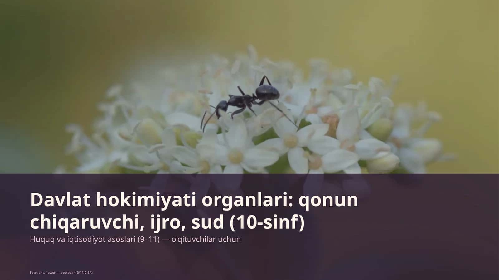 Huquq va iqtisodiyot asoslari (9-11) 1