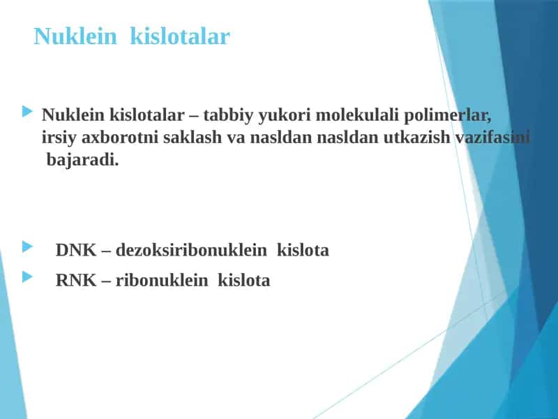 Nuklein kislotalar 1
