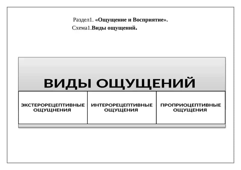 ВИДЫ ОЩУЩЕНИЙ 1