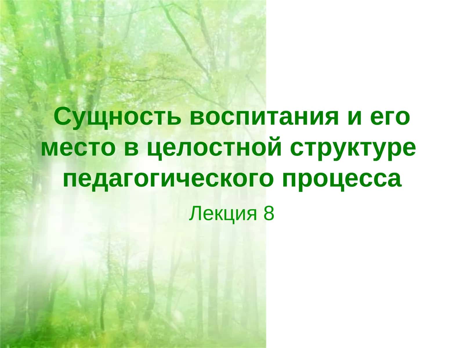 Лекция 8 1