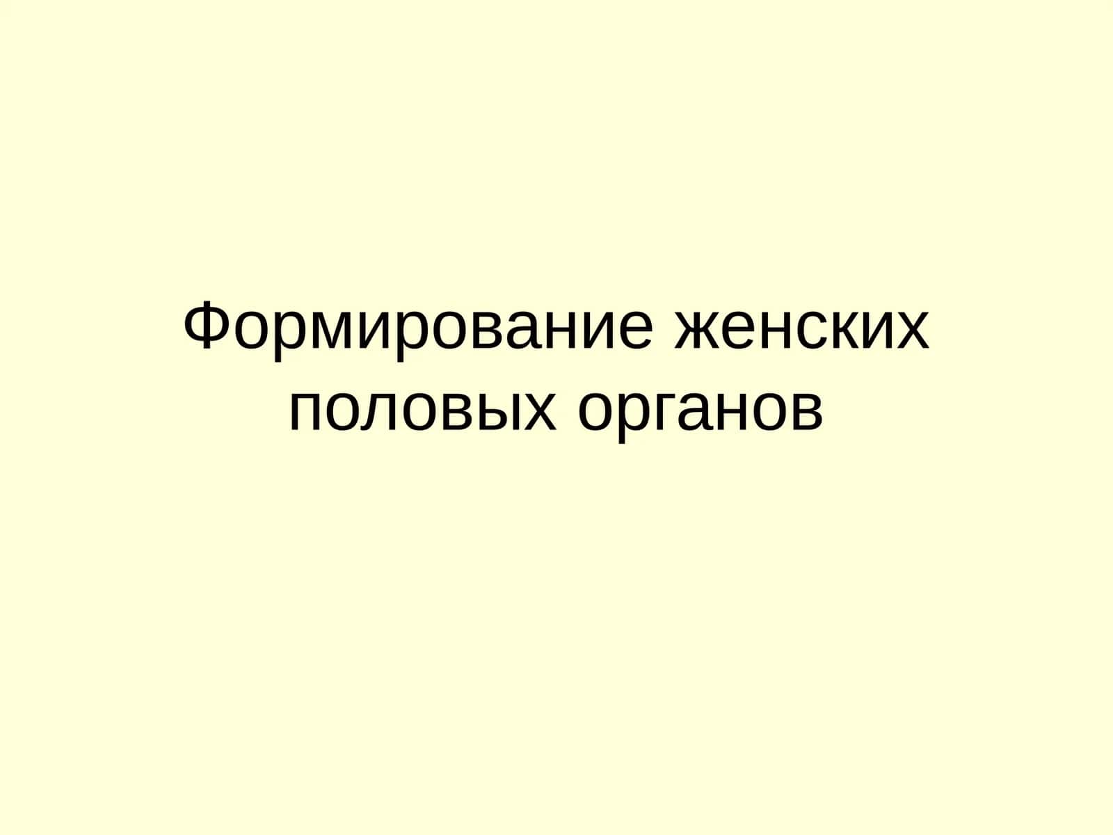 Формирование женских половых органов 1