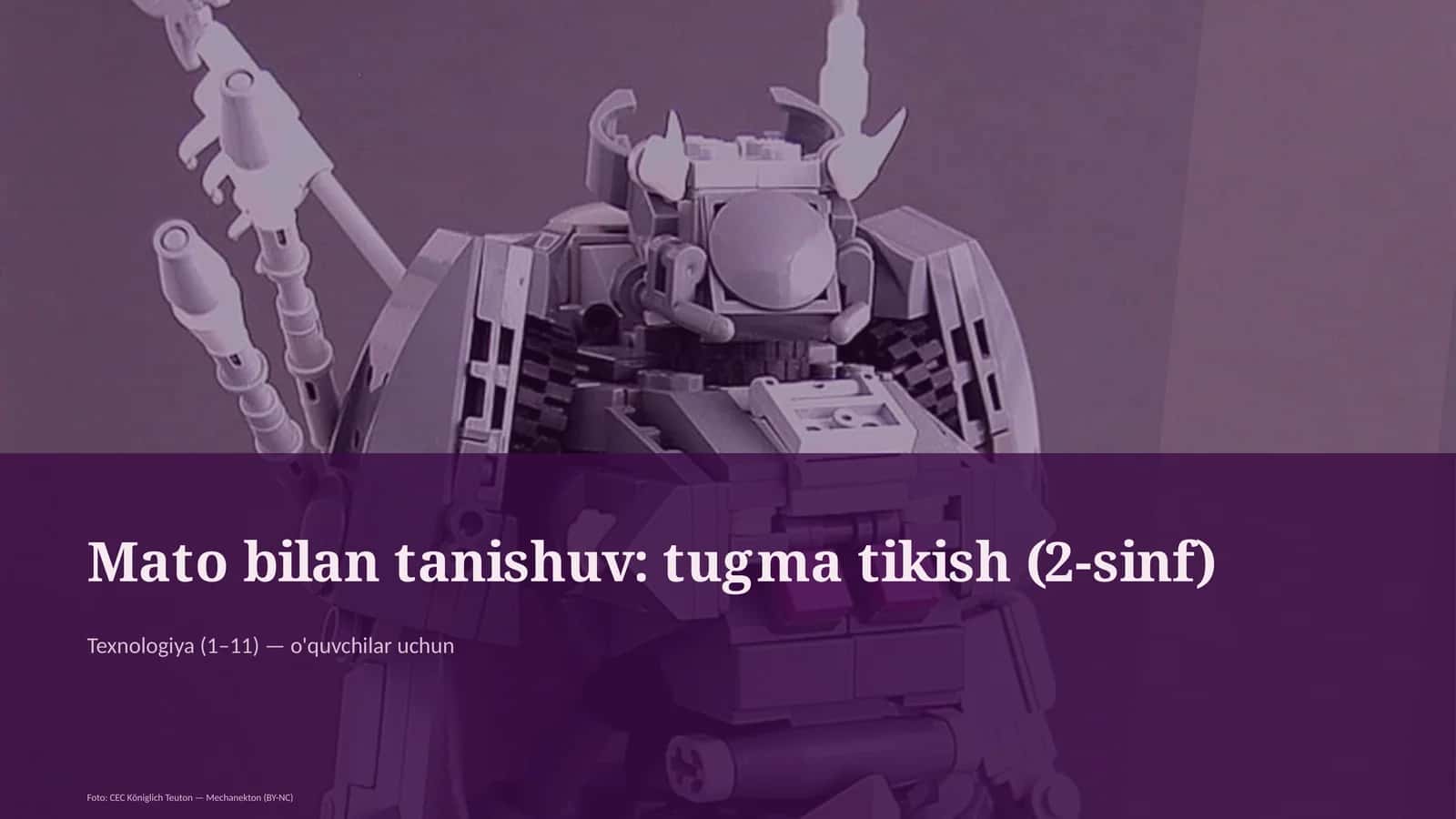 Mato bilan tanishuv: tugma tikish (2-sinf) 1