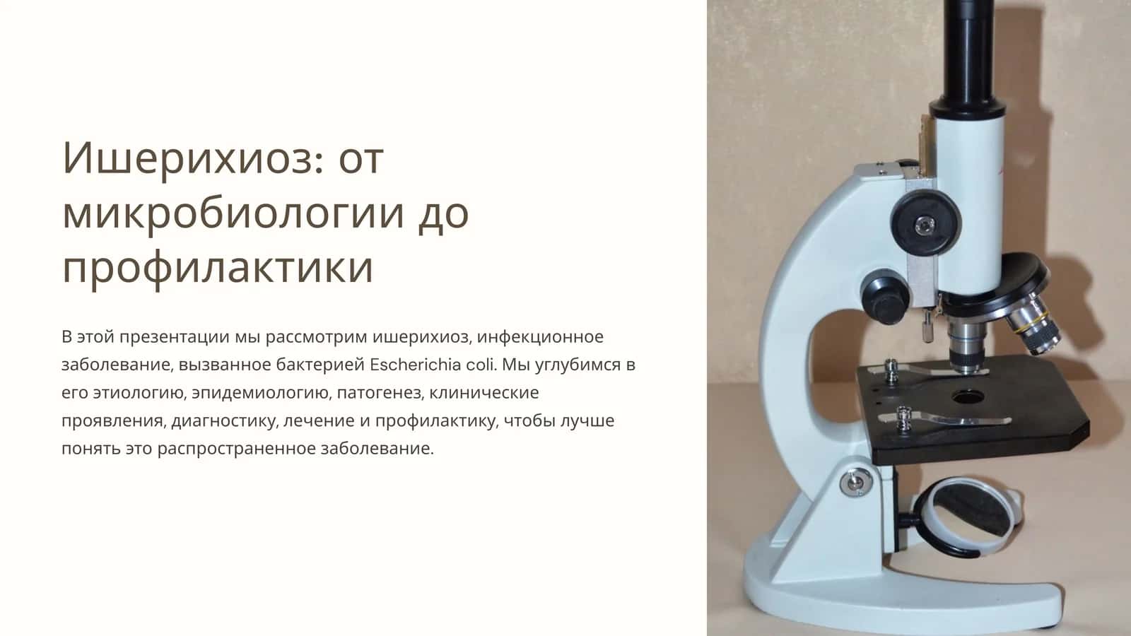 Ишерихиоз: от микробиологии до профилактики 1