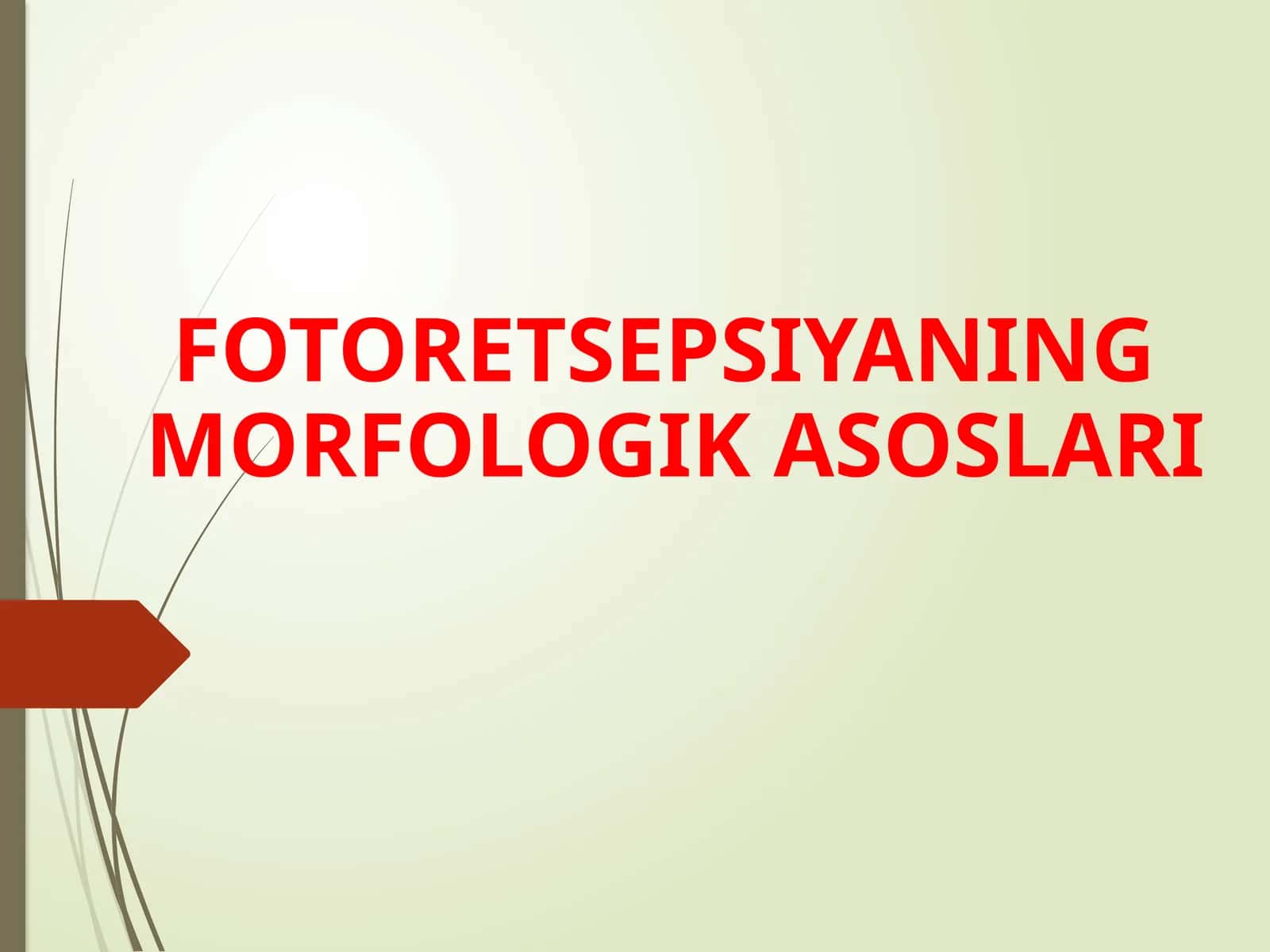 FOTORETSEPSIYANING MORFOLOGIK ASOSLARI 1