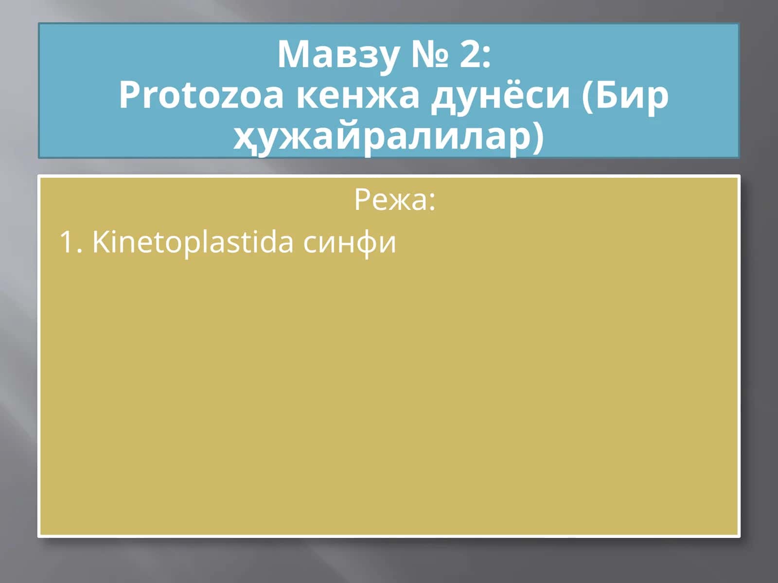 Protozoa кенжа дунёси 1