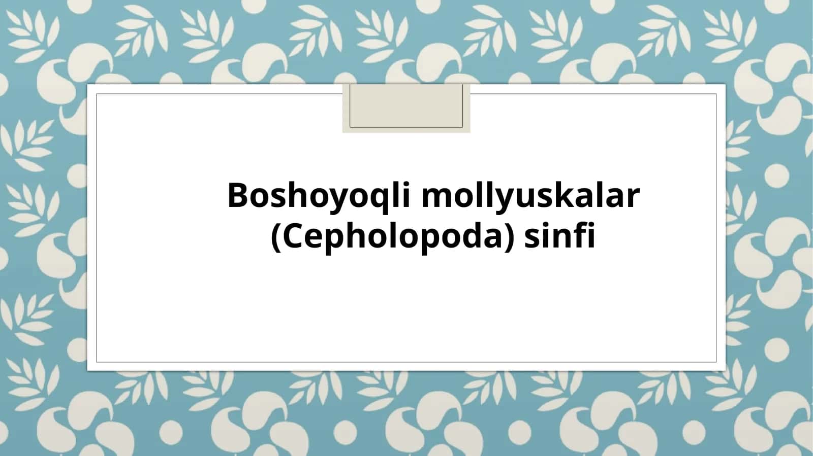 Boshoyoqlim ollyuskalar (Cepholopoda) sinfi 1