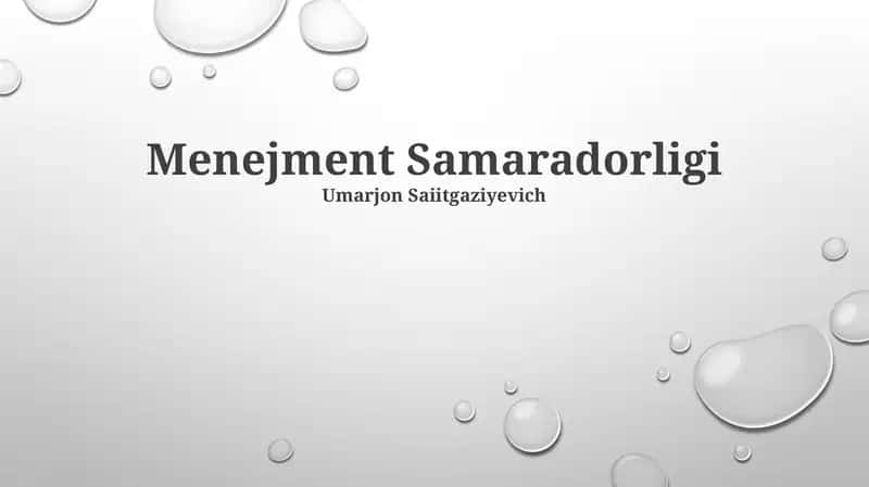 Menejment Samaradorligi 1